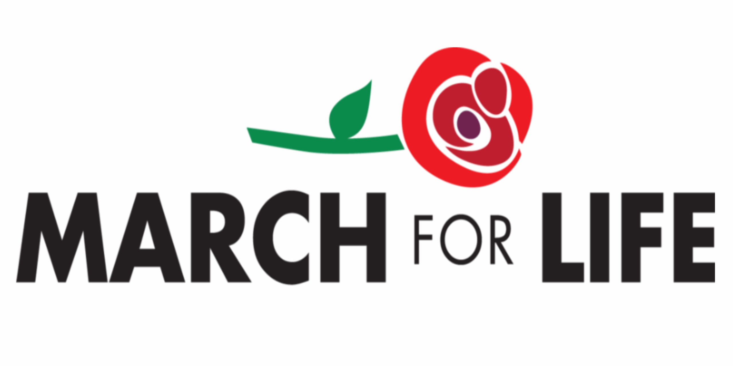 Untitled design (16)